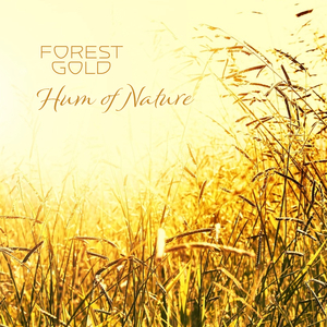 国内精品福利无码免费视频观看
