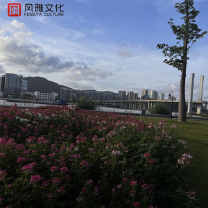 国内精品福利无码免费视频观看
